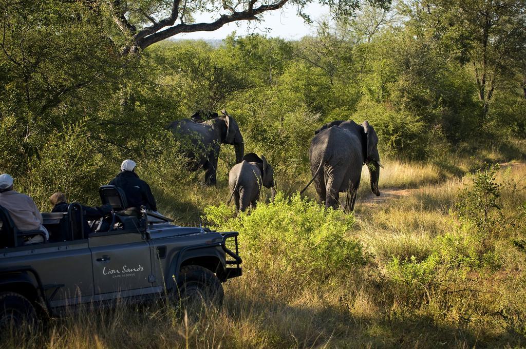 Lion Sands River Lodge Sabi Sand Game Reserve Exterior foto